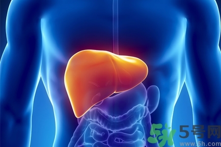 男性護(hù)肝的方法有哪些？養(yǎng)肝護(hù)肝必吃3大營養(yǎng)素