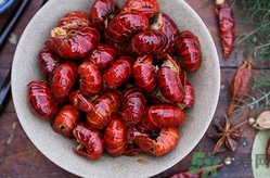 買的活龍蝦怎么保存?活龍蝦怎么保存過夜? 買的活龍蝦怎么保存?活龍蝦怎么保存過夜?