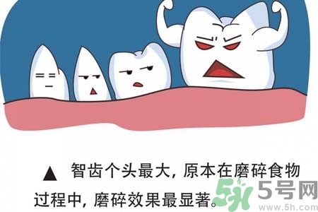 智齒拔完后有個(gè)洞怎么辦？拔智齒后有個(gè)洞多久能長(zhǎng)好？