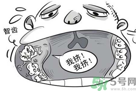 智齒拔完后有個(gè)洞怎么辦？拔智齒后有個(gè)洞多久能長(zhǎng)好？