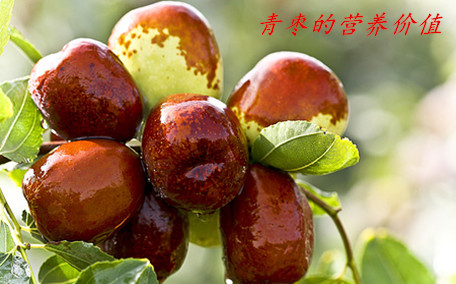 青棗一次性適合吃多少 什么季節(jié)吃青棗最好