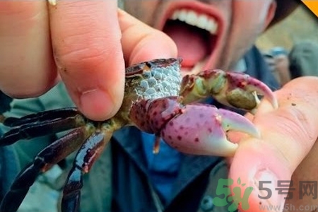 被螃蟹咬了要打破傷風(fēng)針嗎？被螃蟹夾了怎么辦？