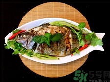 非洲鯽魚的營養(yǎng)價值 非洲鯽魚的功效與作用 非洲鯽魚的營養(yǎng)價值 非洲鯽魚的功效與作用