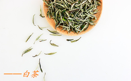 白茶有減肥功效嗎 白茶減肥效果怎么樣