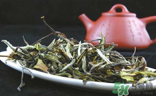 孕婦可以喝白茶嗎?孕婦喝白茶好嗎 孕婦可以喝白茶嗎?孕婦喝白茶好嗎