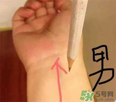 用鉛筆怎么測胎兒性別?用鉛筆和針測男女性別準嗎? 用鉛筆怎么測胎兒性別?用鉛筆和針測男女性別準嗎?