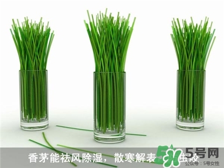 香茅草有什么作用?香茅草的功效與作用 香茅草有什么作用?香茅草的功效與作用