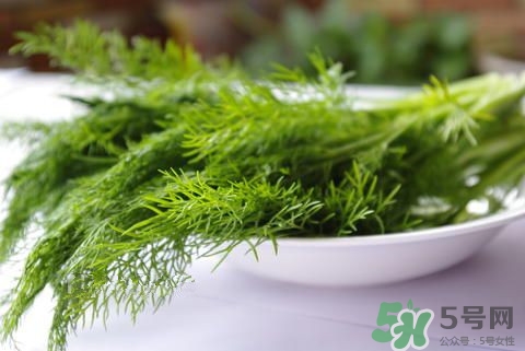 一歲寶寶能吃茴香嗎?寶寶吃茴香的好處 一歲寶寶能吃茴香嗎?寶寶吃茴香的好處