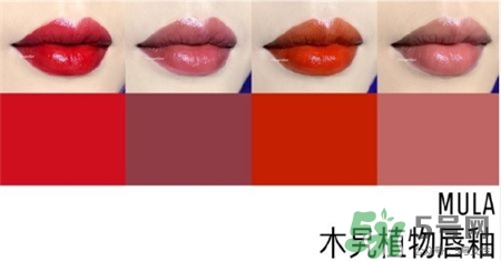 mula木旯植物唇釉試色 木旯植物唇釉圖片 mula木旯植物唇釉試色 木旯植物唇釉圖片