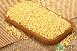 產(chǎn)婦能吃黃米嗎?產(chǎn)婦吃黃米有什么好處 產(chǎn)婦能吃黃米嗎?產(chǎn)婦吃黃米有什么好處