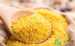 哺乳期可以吃黃米嗎?哺乳期吃黃米有好處嗎 哺乳期可以吃黃米嗎?哺乳期吃黃米有好處嗎