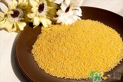 哺乳期可以吃黃米嗎?哺乳期吃黃米有好處嗎 哺乳期可以吃黃米嗎?哺乳期吃黃米有好處嗎