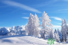 為什么冬天頭皮屑多？冬天頭皮屑多是什么原因？