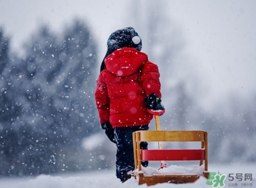 小雪喝什么茶？小雪茶品推薦