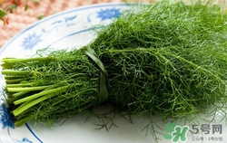 發(fā)燒可以吃茴香嗎?發(fā)燒吃茴香好嗎 發(fā)燒可以吃茴香嗎?發(fā)燒吃茴香好嗎