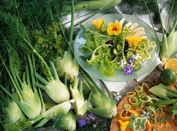 發(fā)燒可以吃茴香嗎?發(fā)燒吃茴香好嗎 發(fā)燒可以吃茴香嗎?發(fā)燒吃茴香好嗎