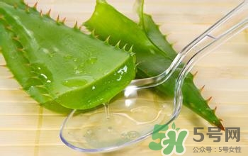 新鮮蘆薈可以吃嗎?怎么吃呢 新鮮蘆薈可以吃嗎?怎么吃呢