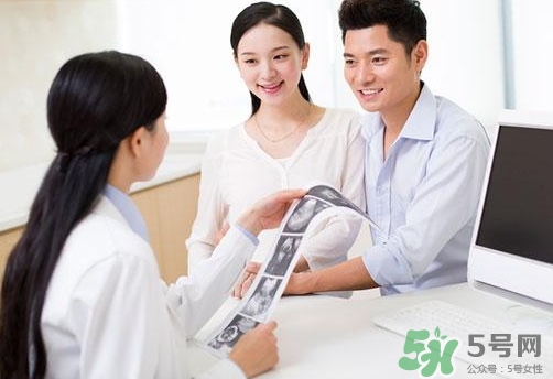 懷孕幾個(gè)月可以看出胎兒男女性別? 懷孕幾個(gè)月可以看出胎兒男女性別?