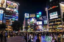 瘦腿霜哪個(gè)牌子好 瘦腿霜排行榜 瘦腿霜哪個(gè)牌子好 瘦腿霜排行榜