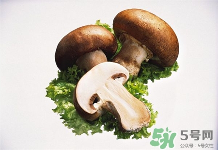 褐菇的營養(yǎng)價值 褐菇的功效與作用 褐菇的營養(yǎng)價值 褐菇的功效與作用