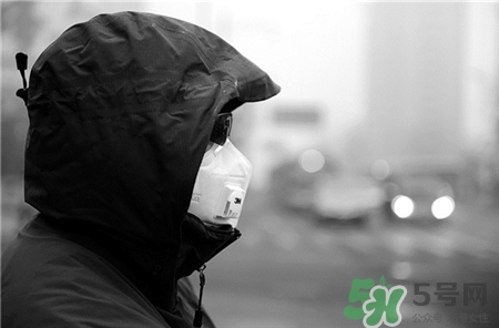 口罩濾芯多久換一次?口罩的濾芯多久更換? 口罩濾芯多久換一次?口罩的濾芯多久更換?