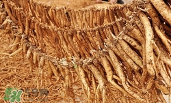 小孩咳嗽可以吃黨參嗎?小孩吃黨參會(huì)早熟嗎 小孩咳嗽可以吃黨參嗎?小孩吃黨參會(huì)早熟嗎