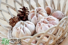 腎病能吃臘八蒜嗎?腎病吃臘八蒜好嗎 腎病能吃臘八蒜嗎?腎病吃臘八蒜好嗎