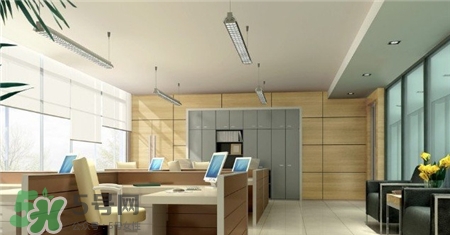 辦公桌上放什么植物好?辦公桌擺放什么吉利? 辦公桌上放什么植物好?辦公桌擺放什么吉利?