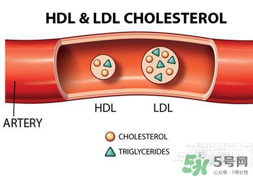 膽固醇高是血脂稠嗎？膽固醇高和血脂稠有什么聯(lián)系？