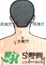 膏肓的準確位置圖 膏肓穴痛跟什么有關(guān) 膏肓的準確位置圖 膏肓穴痛跟什么有關(guān)