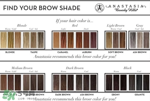 anastasia眉筆色號試色 anastasia眉筆試色圖 anastasia眉筆色號試色 anastasia眉筆試色圖