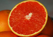 血橙和普通橙子有什么區(qū)別？血橙比普通的橙子好吃嗎？