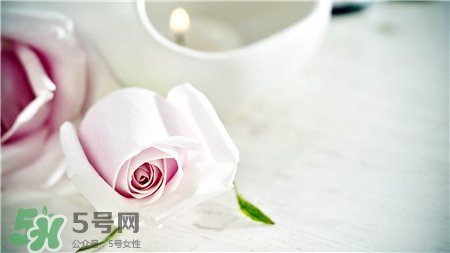 酵素飯前吃還是飯后吃?酵素什么時(shí)候吃最好? 酵素飯前吃還是飯后吃?酵素什么時(shí)候吃最好?