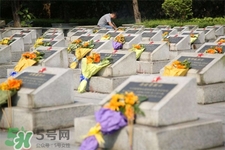 清明節(jié)可以回娘家嗎？清明節(jié)能不能回娘家？