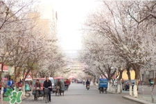 倒春寒如何養(yǎng)生？倒春寒養(yǎng)生需注意五點(diǎn)