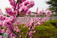 倒春寒如何養(yǎng)生？倒春寒養(yǎng)生需注意五點(diǎn)