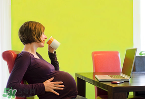 備孕可以喝茶嗎 備孕喝什么茶好 備孕可以喝茶嗎 備孕喝什么茶好