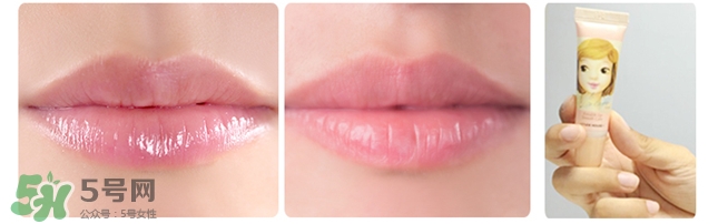 愛麗小屋唇部磨砂膏怎么樣？愛麗小屋唇部磨砂膏和悅詩(shī)風(fēng)吟哪個(gè)好？