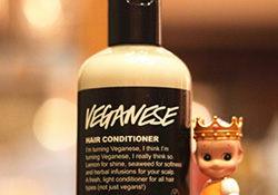 lush護(hù)發(fā)素哪個好？lush護(hù)發(fā)素推薦