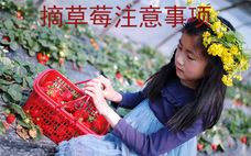 草莓采摘很貴嗎 摘草莓為什么比賣的貴