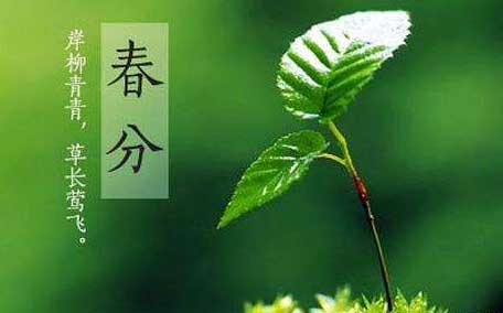 春分能夜釣嗎？春分能釣鯉魚嗎？