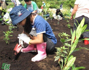 ?3月份可以種什么？?3月份可以種什么果樹？