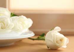 白色情人節(jié)送什么花？白色情人節(jié)送白玫瑰合適嗎？