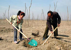 植樹節(jié)種樹要注意什么？植樹要注意哪些細(xì)節(jié)？