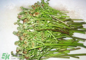 蕨菜怎么去苦味？蕨菜怎么做不苦？