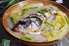 得了猩紅熱可以吃魚嗎?感染猩紅熱能吃魚嗎? 得了猩紅熱可以吃魚嗎?感染猩紅熱能吃魚嗎?