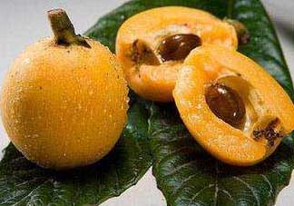 枇杷和菠蘿能一起吃嗎？菠蘿和枇杷一起吃會(huì)中毒嗎？