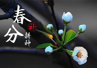 春分吃春菜有什么好處？春菜有什么營(yíng)養(yǎng)價(jià)值？