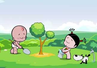 清明節(jié)種什么樹？清明節(jié)為什么種樹？