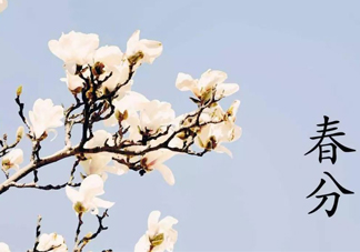 春分吃什么傳統(tǒng)食物？南方人春分節(jié)氣吃什么？